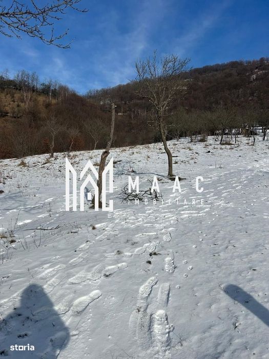 Teren de vânzare, 7750 mp I Orientare sudică I Caineni