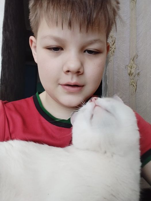 Отдам даром котика