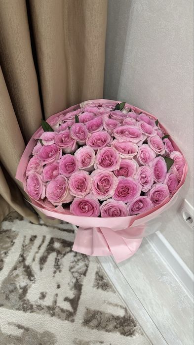 розовые розы сегодняшний
