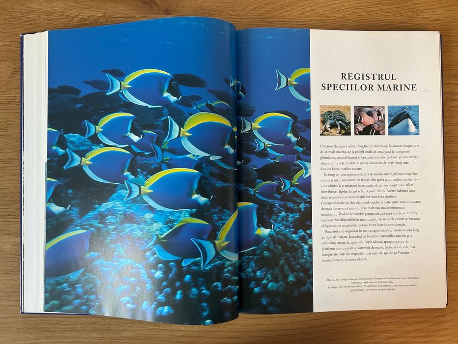 Peștii și creaturile marine – Enciclopedie ilustrată a lumii subacvatice (Editura Aquila)