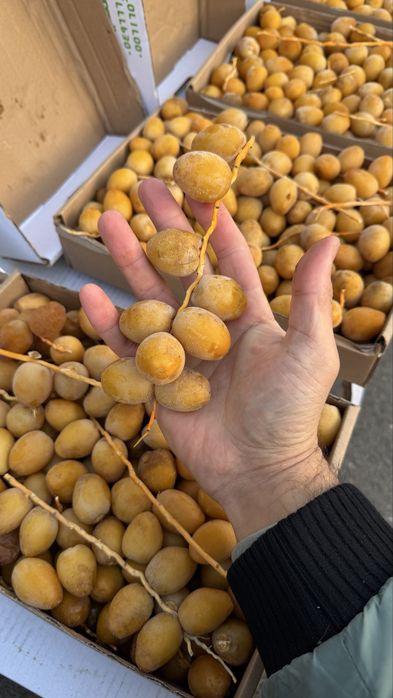 Финики на веточке, новинка!