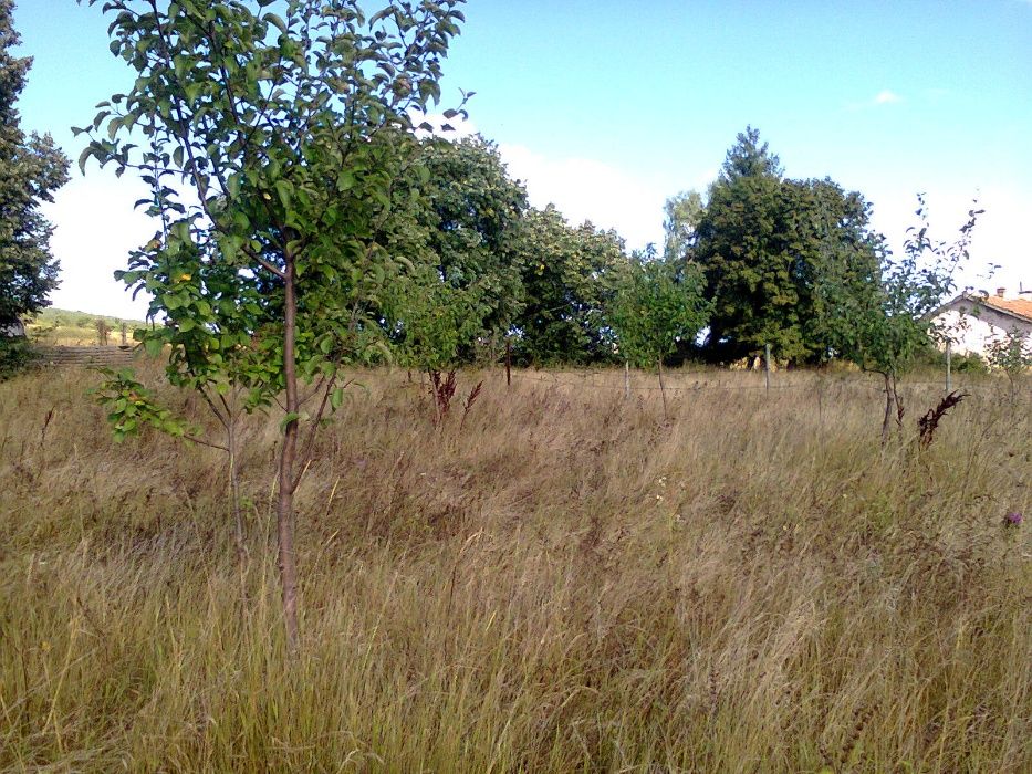 Продава се Парцел в с. Байкалско, Област Перник - 2084 кв.м за 10 €/кв.м - Снимка #1