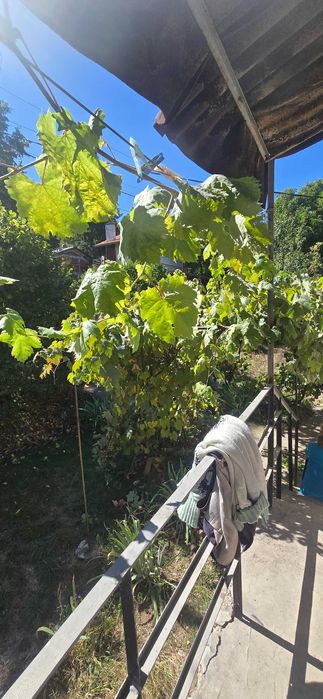 Продава се Къща в с. Студена, Област Перник - 80 кв.м за 1000 €/кв.м - Снимка #18