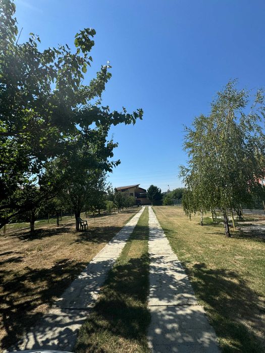 Casa deosebita P+M 252 mp utili, teren de 1654 mp, Aleea Manastirii De