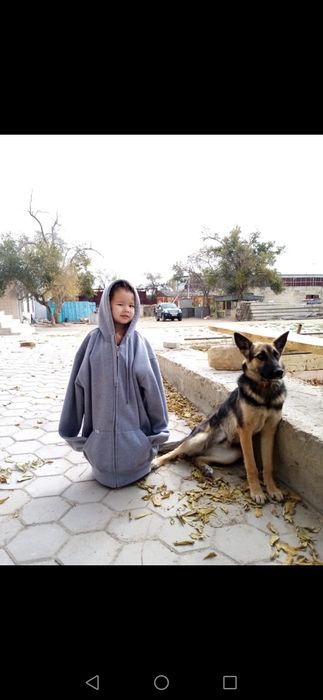 Щенята! Охотничий тьрьер!девочки, и мальчики.