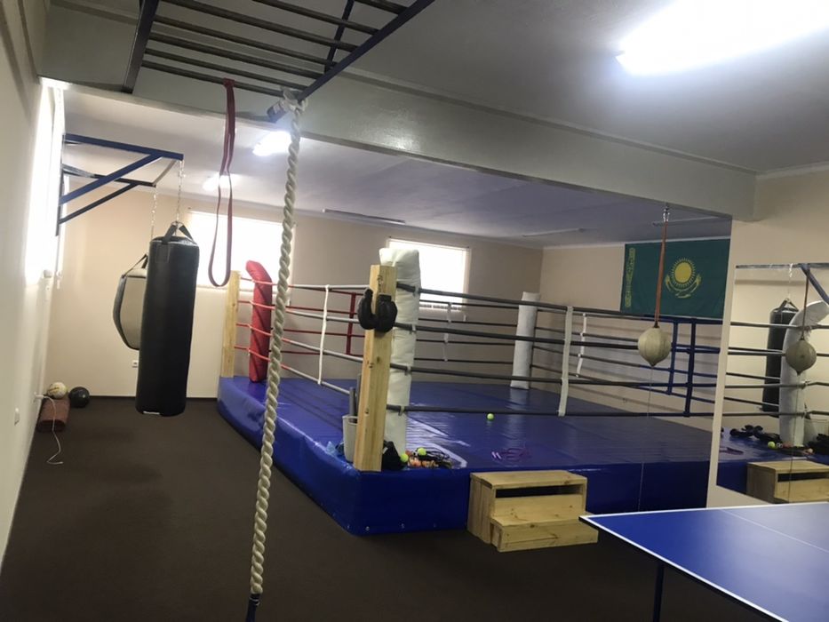 Единоборство Бокс