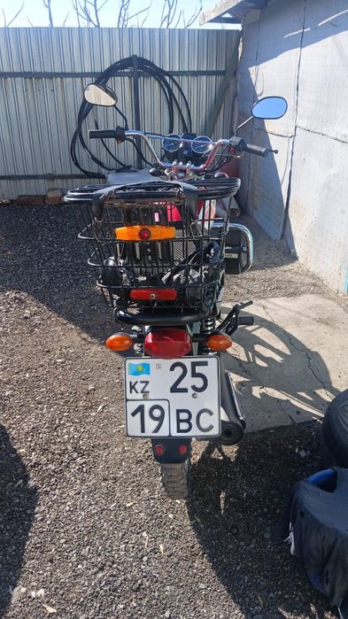 Ауди 80, Альфа Педа