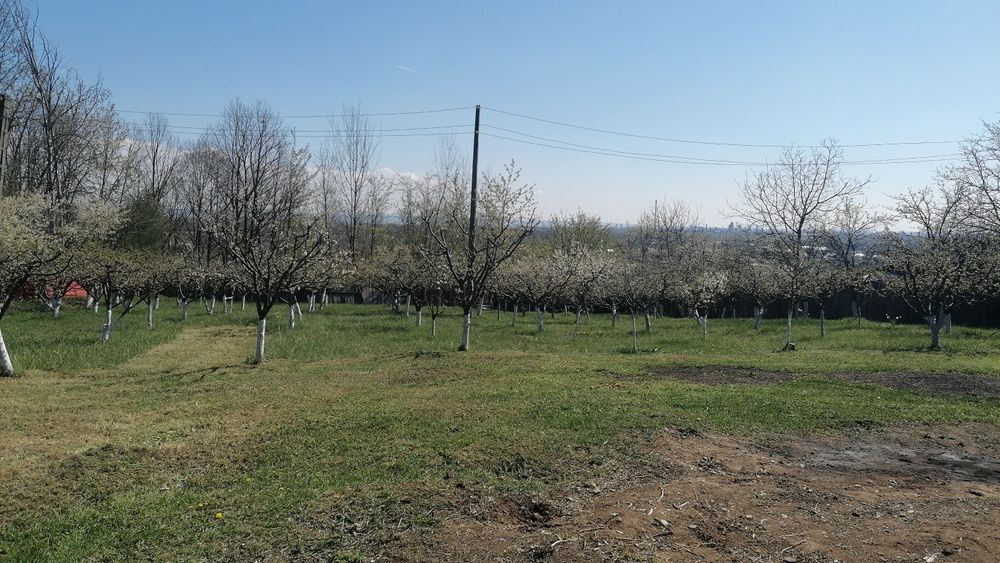 Casa de vanzare Hintesti (Dealu Viilor)l