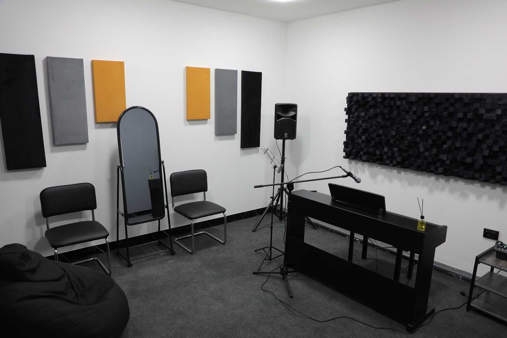 Эхо ловушки, диффузоры, акустический поролон, панели для стен потолков