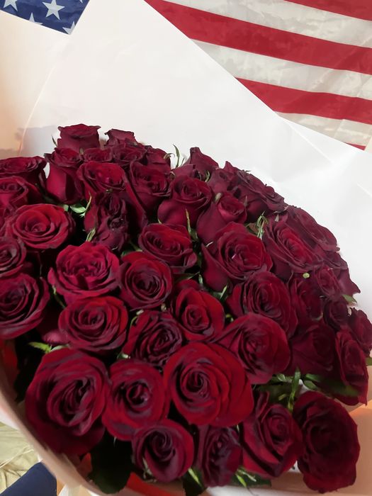 51 роза метровая