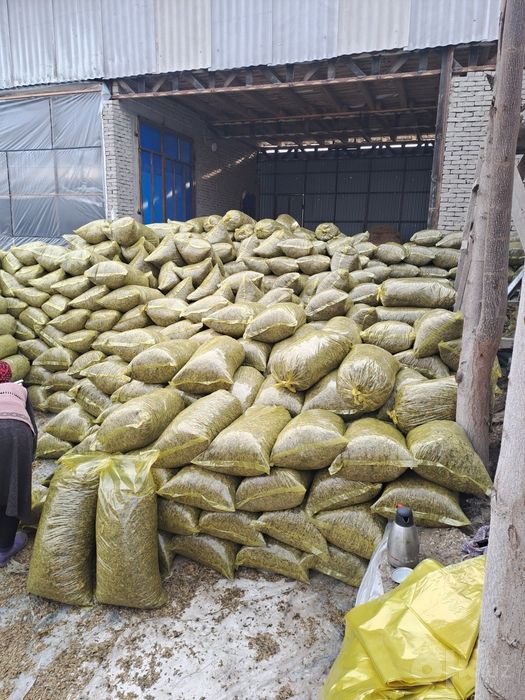 Donlik silos qoplangan 16 ming