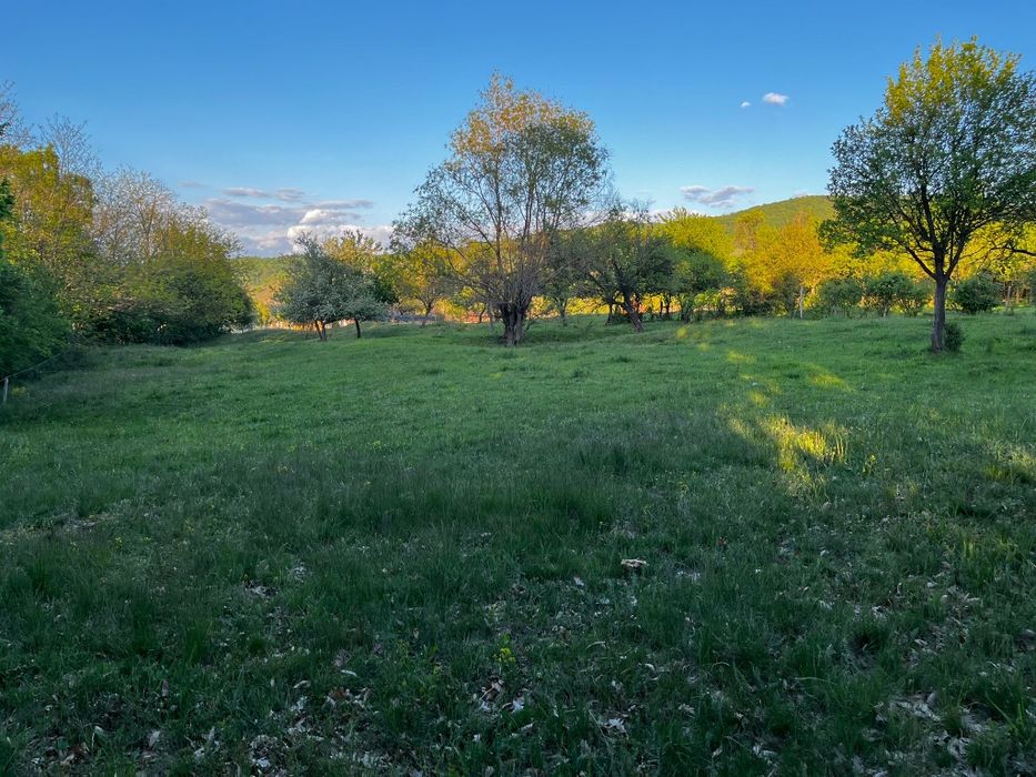 Vând teren extravilan Pianu de Sus