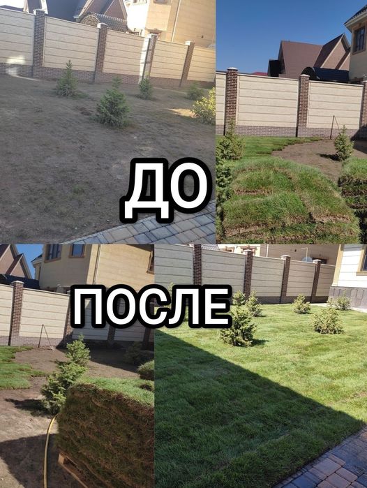 Вечно зелёный сад