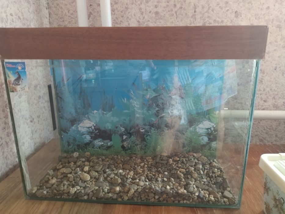 Аквариум 30 литров с крышкой