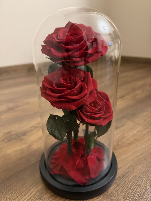 Луксозна вечна роза в стъкленица Beauty Roses