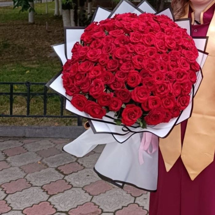 Роза гүл 101 новии