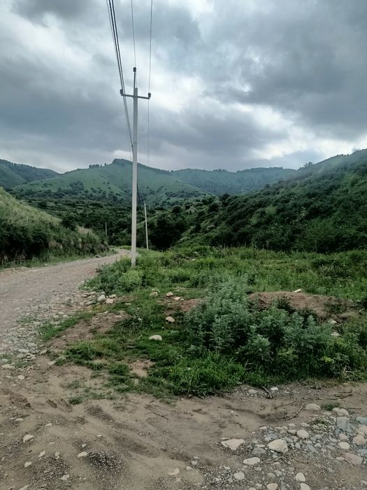 К.х 125 соток. Дом и ферма 30 на 10 для КРС