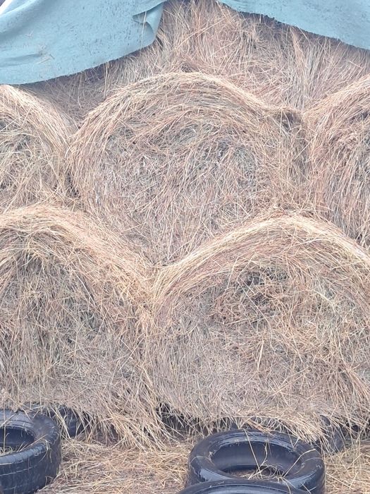 Vând balotib fân  foarte frumos