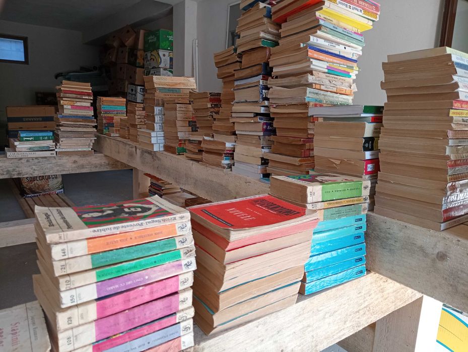 Pachet cu 875 carti variate