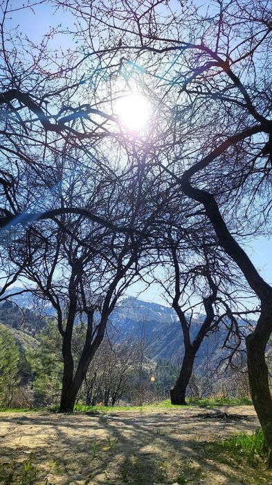 Поездка в горы, экскурсии,трансфер. Минивэны Hyundai- 7мест, кроссовер