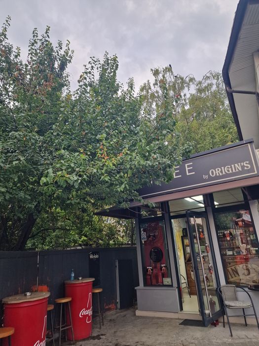 Afacere la cheie-Cafenea deja functionala-Tatarasi