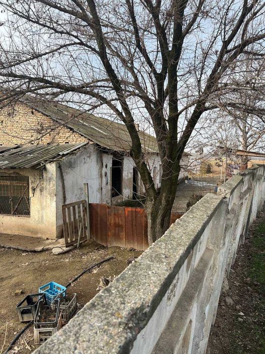 Янгиюль тумани янгиабодда ховли