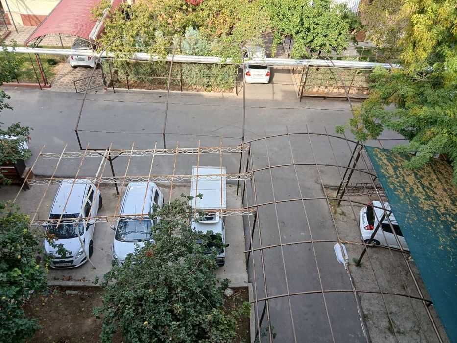 Продажа Себзор массив ц 17*18