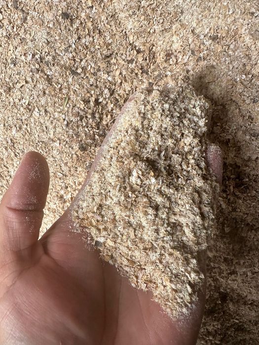 Пшеница, ячмень оптовые поставки