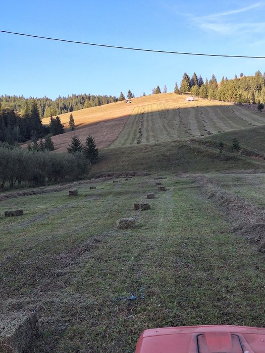 Fân de munte, curat,fără ploaie