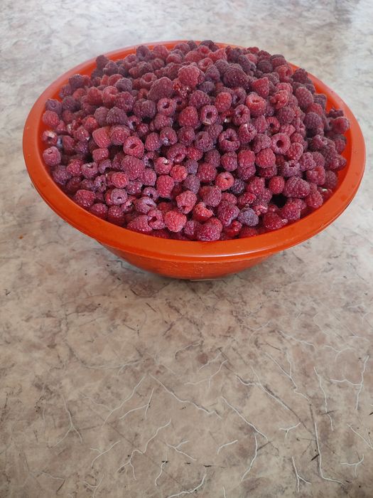 Малина сладкая крупная