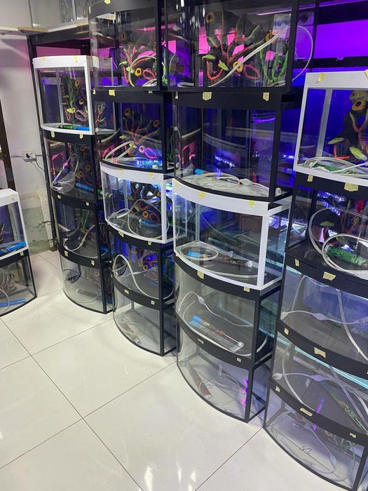 Аквариум Магазин