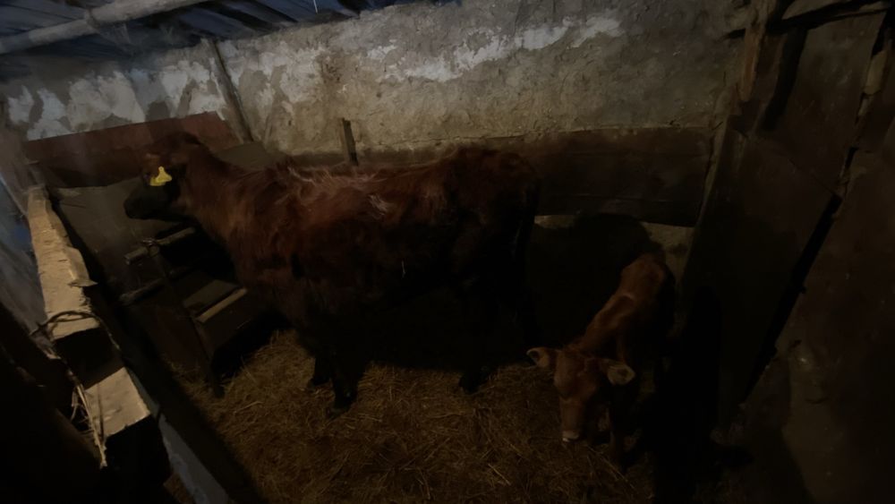 Қарабұлақ ауылында тұр