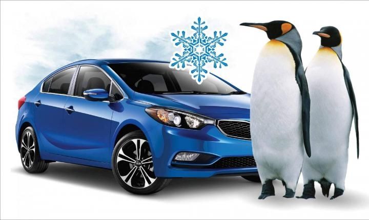 Заправка автокондиционеров