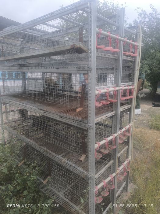 Клетка для перепелов и несушек