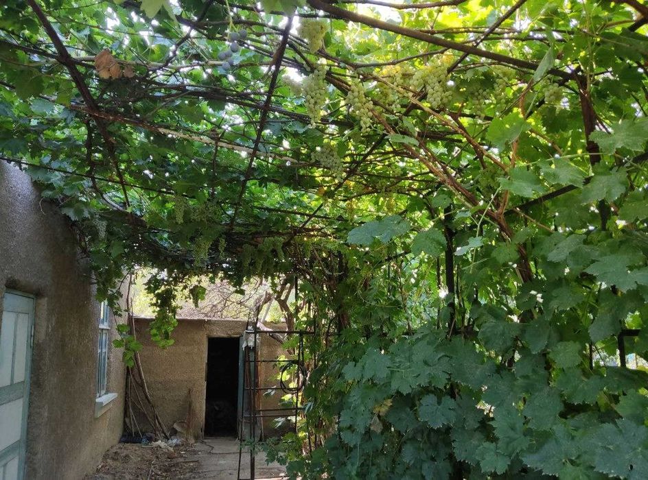 Продам Дачу  на Кайнар-Булак