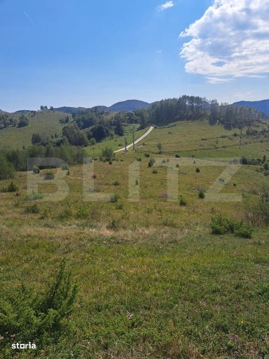 Teren extravilan 4.604 mp cu curent – ideal pentru cabana, zona Tran