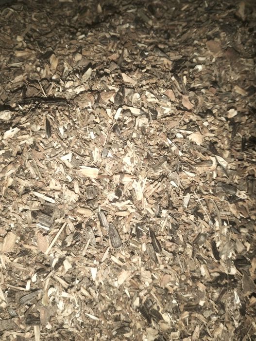 Продам отход семечки