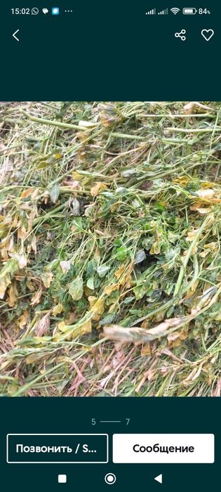 Сено в рулонах ..