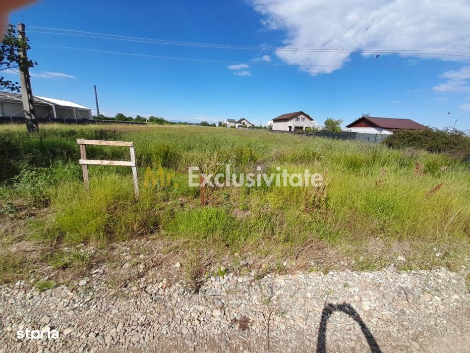 Teren intravilan Bradu 1312 mp 2 deschideri