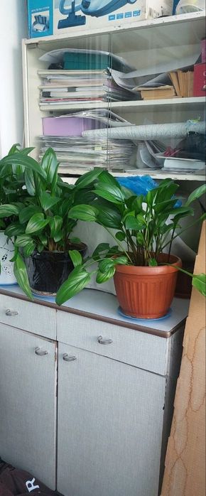 Продаётся шкаф кухонный,       цена    150 тысяч