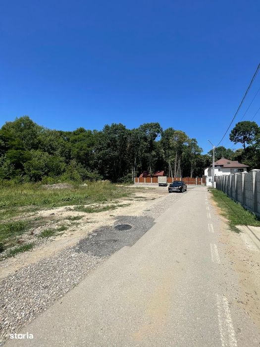 Ordoreanu, Clinceni, Padure
