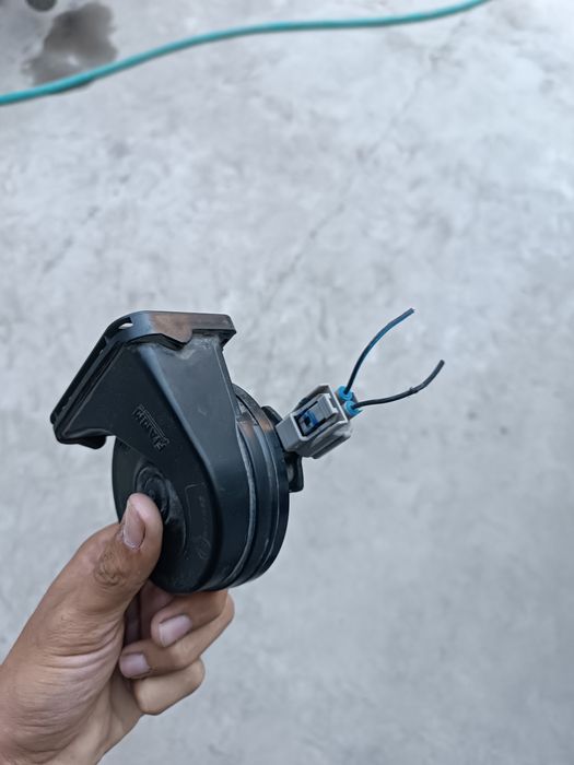 Byd seagull arginal signali