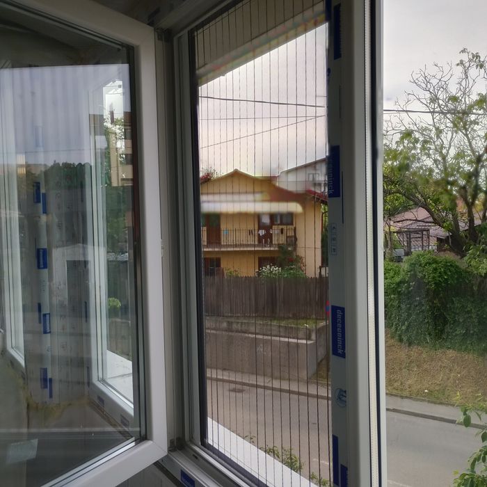 Plase/Site insecte Craiova
