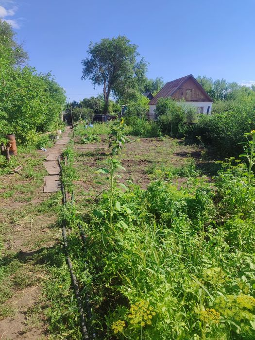 Продаю дачу до Алма
