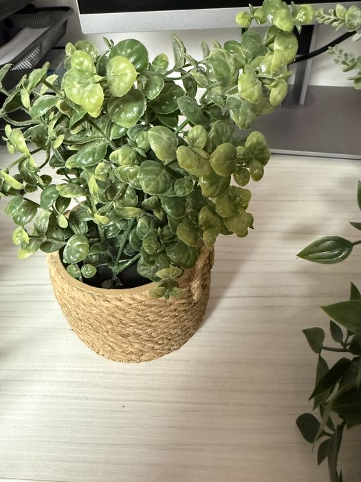 Set 13 plante artificiale