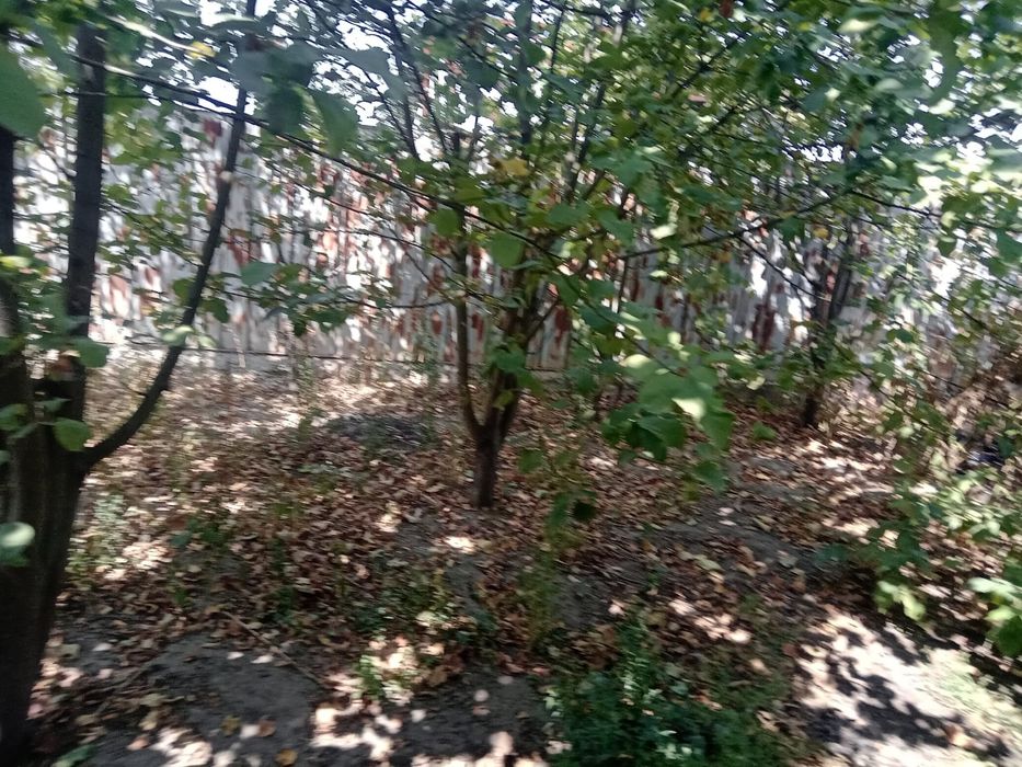 Продам крестьянской хозяйство