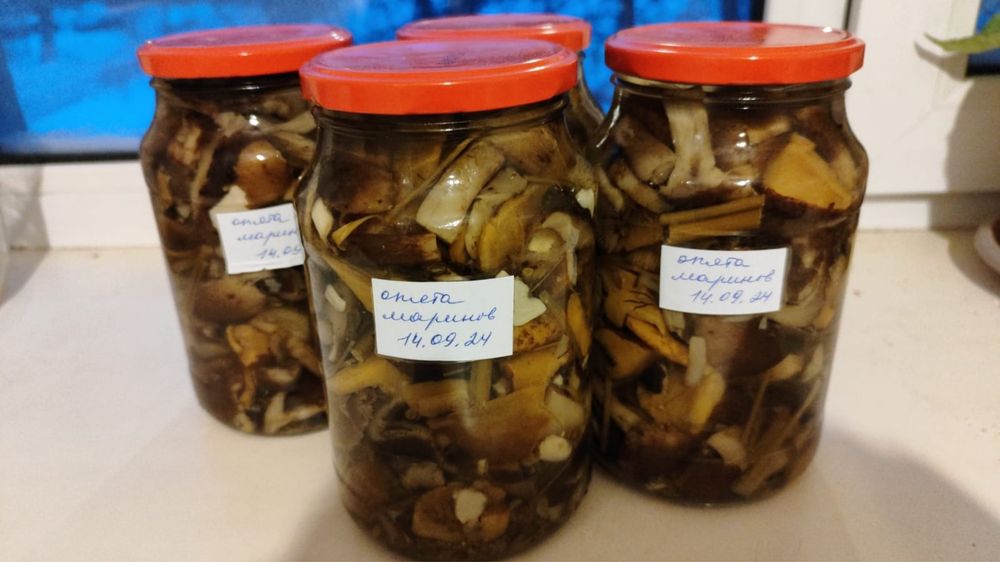 маринованные опята.
