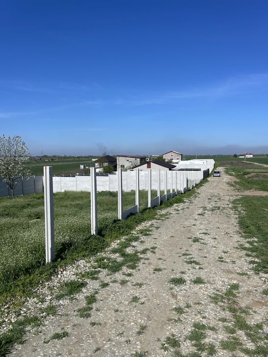 Loturi de vanzare 450 mp Dobreni-Berceni