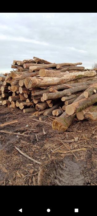 Lemne de foc transport gratuit in București și IF