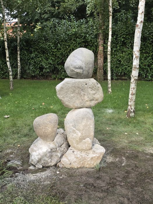 Bolovani ornamentali ideală pentru decor,  iazuri, zidari, garduri, fântâni etc